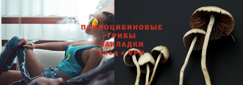 МЕГА рабочий сайт  как найти   Каневская  Галлюциногенные грибы Cubensis 